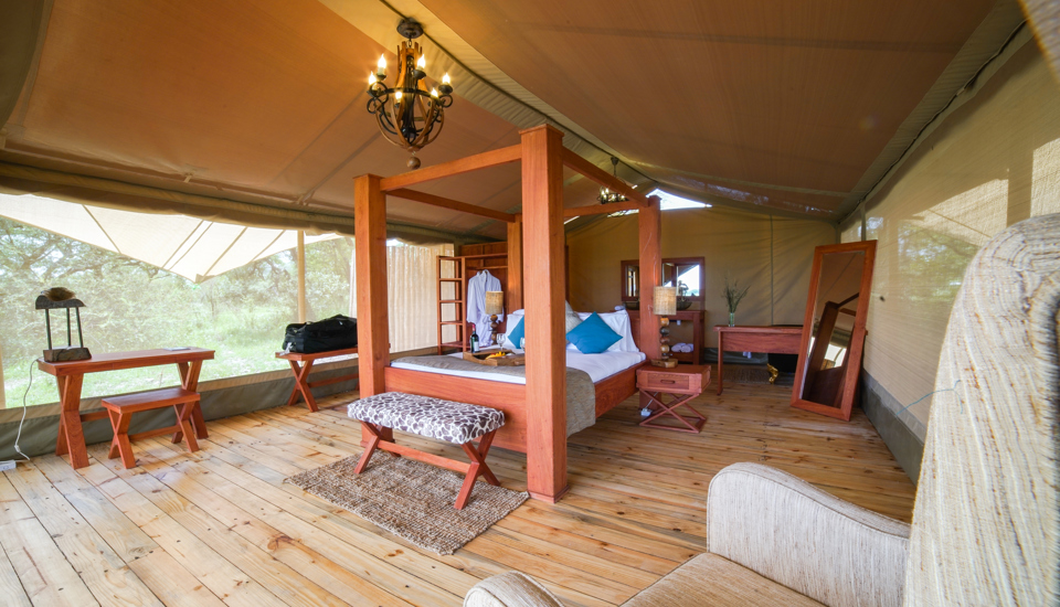 Safari tent luxury room