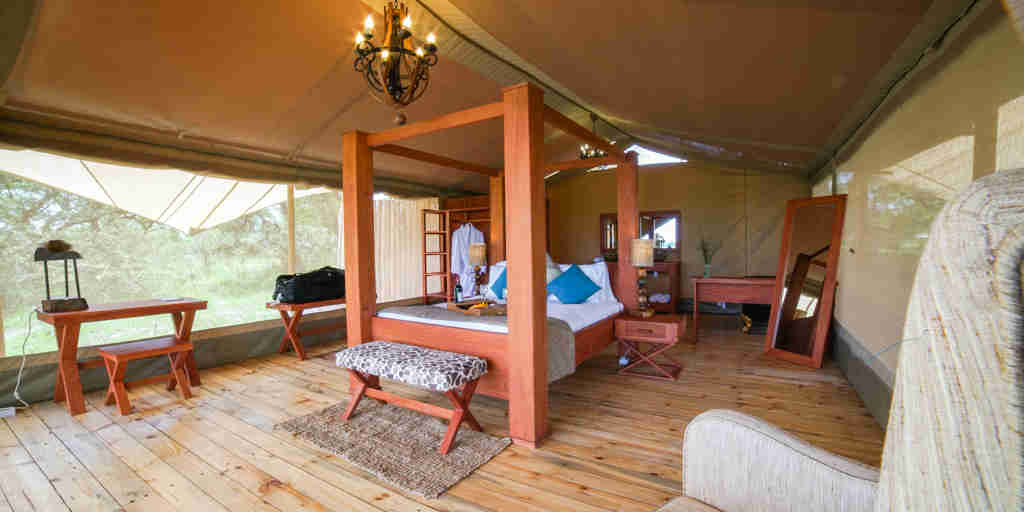 Safari tent luxury room