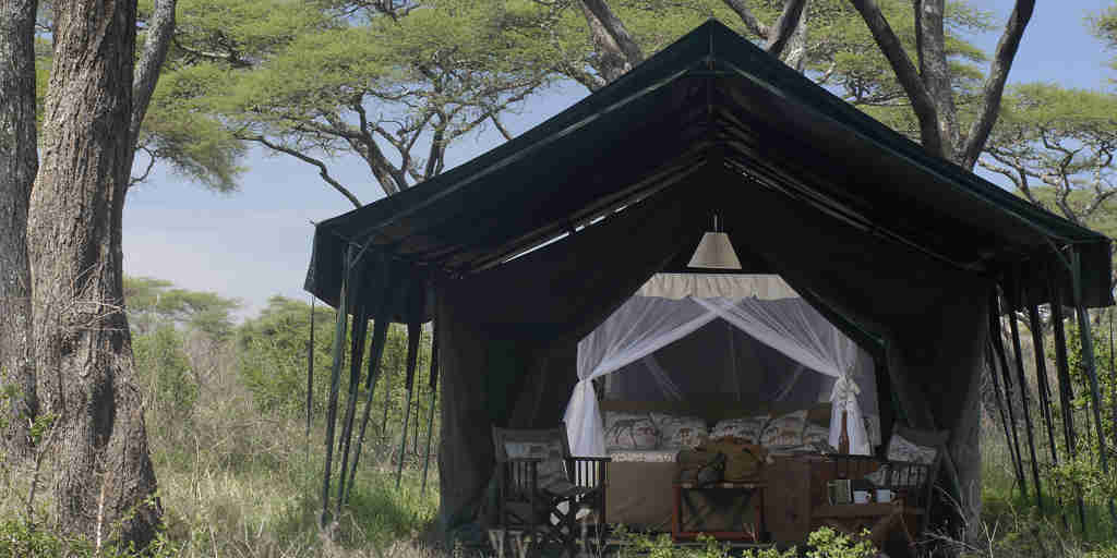 Remote tent in the serengeti
