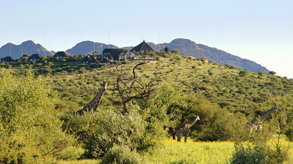 GocheGanas Lodge with Giraffe