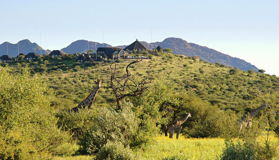 GocheGanas Lodge with Giraffe