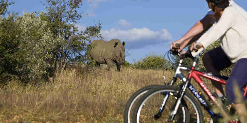 Namibia nature cycling