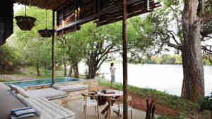 Safari Africa private pool
