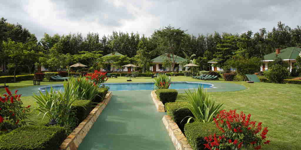 Bougainvillea pool