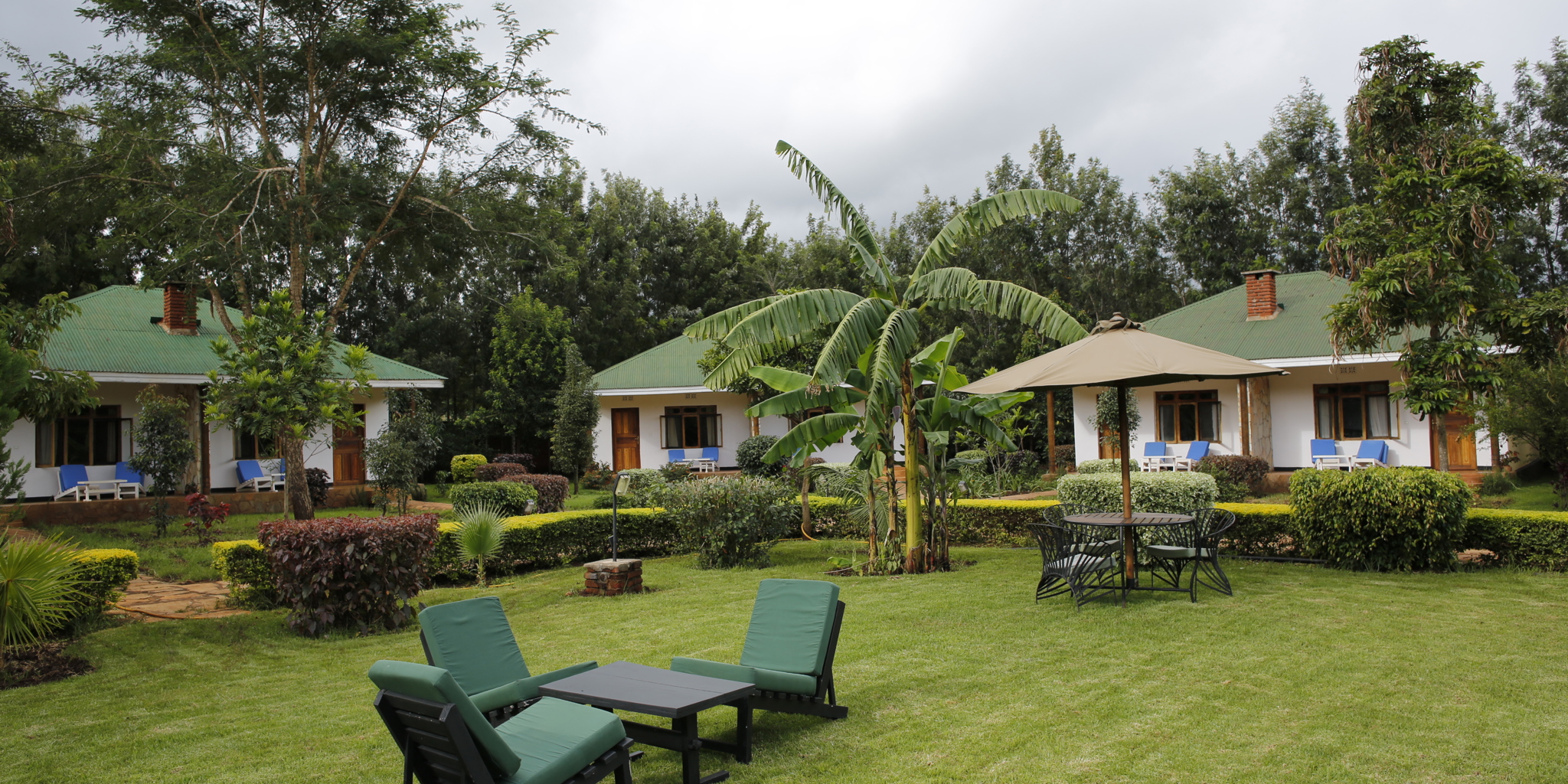 hotel bougainvillea safari lodge