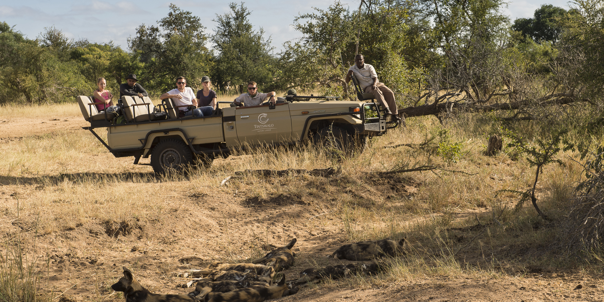 Game Drives  Greater Kruger