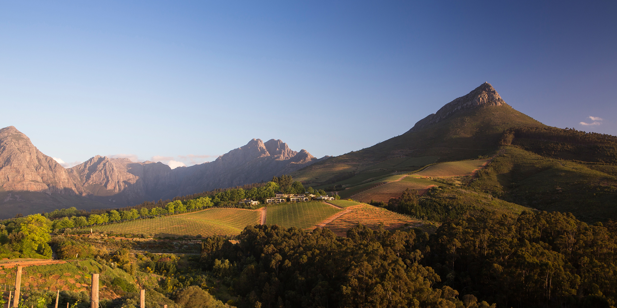 Delaire Graff Estate   at home in the landscape