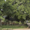 South Africa Safari Holiday