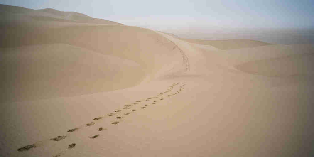 Footsteps in the dunes Namibia