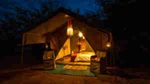 Zimbabwe safari tent suite