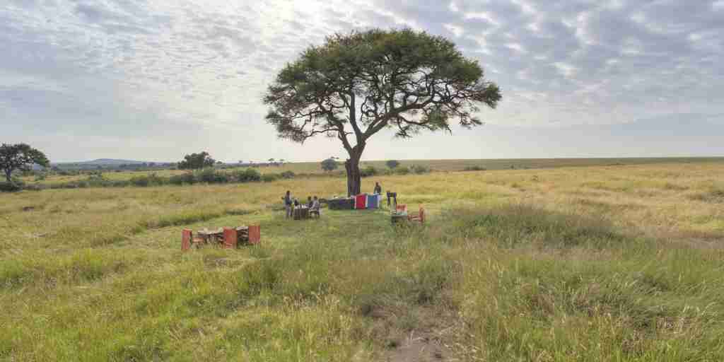 Olakira Bush breakfast in the serengeti