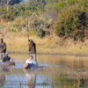 Botswana river safari
