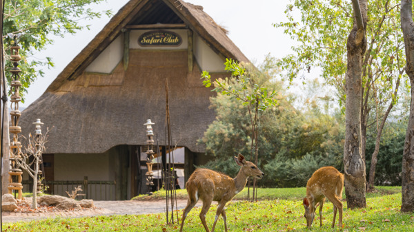 Victoria Falls Safari Club Exterior