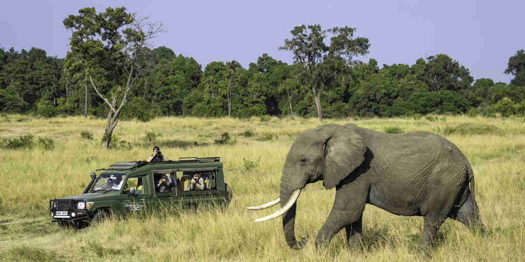 elephant safari governors il moran camp kenya