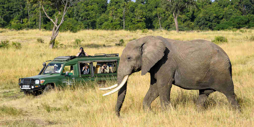 elephant safari govenors private camp kenya