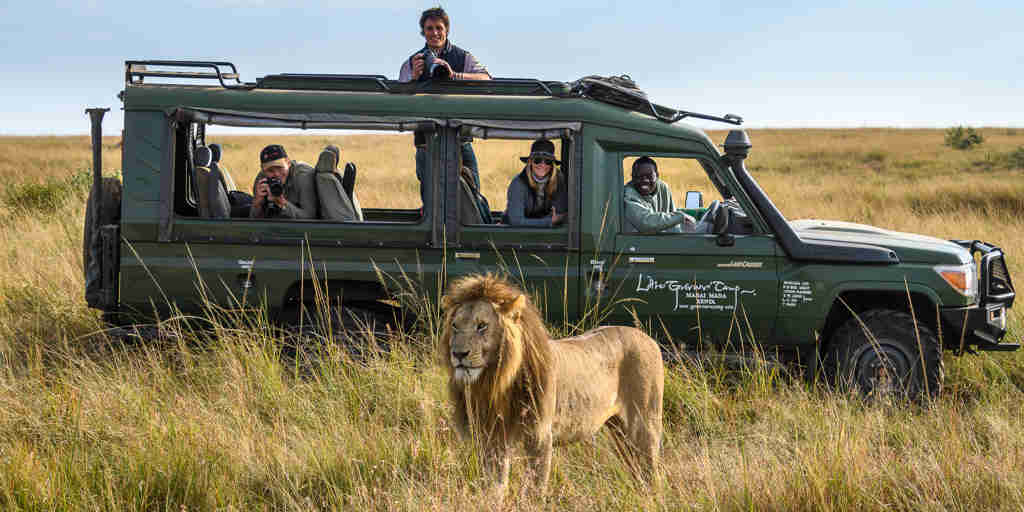lion safari govenors private camp kenya