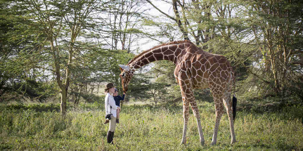 Kenya family safari giraffe