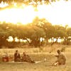 Zambia Couple Safari