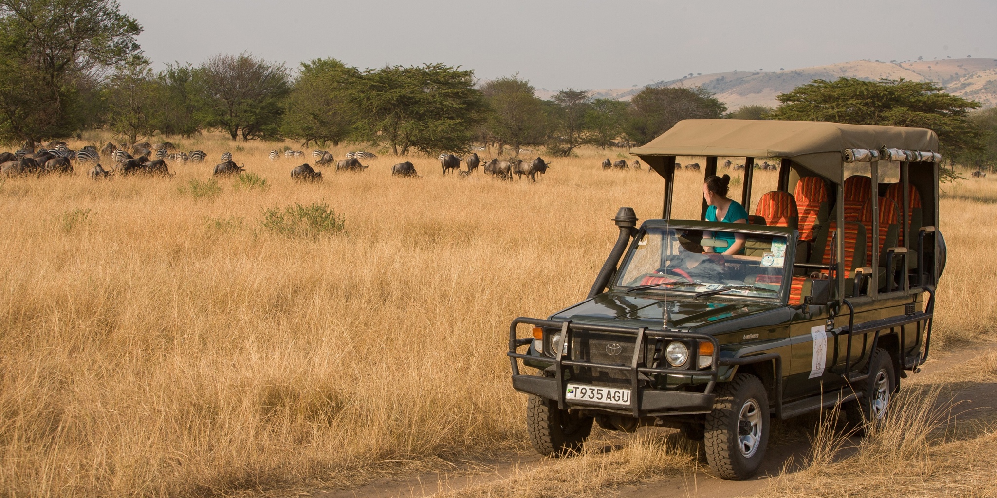 Tanzania Safari Game Drive