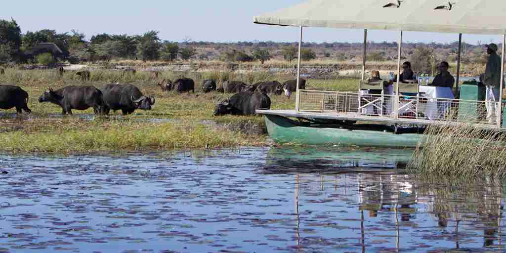 Boating Safari Chobe Park Botswana