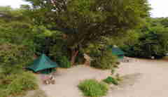 Manyara Green Camp Tents