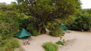 Manyara Green Camp Tents
