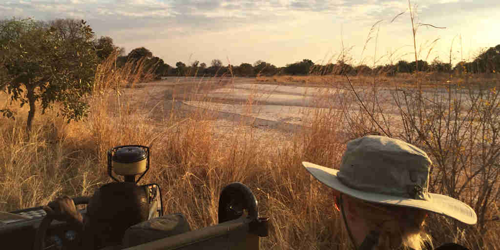 Safari Drive, Mchenja Bush, South Luangwa NP, Zambia