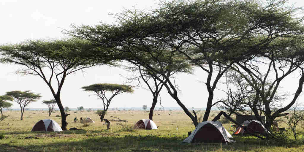Serengeti Walking Camp Tents