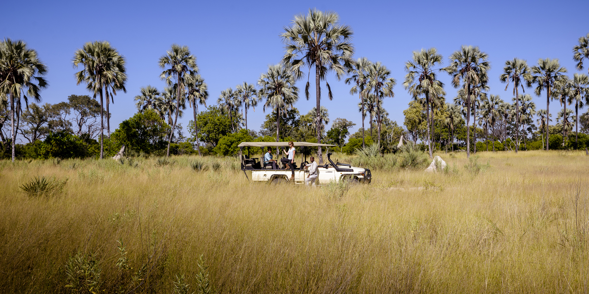 SANCTUARY STANLEY'S CAMP - Prices & Campground Reviews (Botswana/Okavango  Delta)