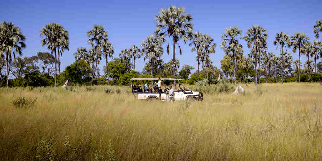 Botswana Delta safari