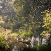 Zambezi canoe