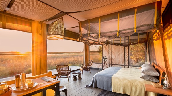 safari room view