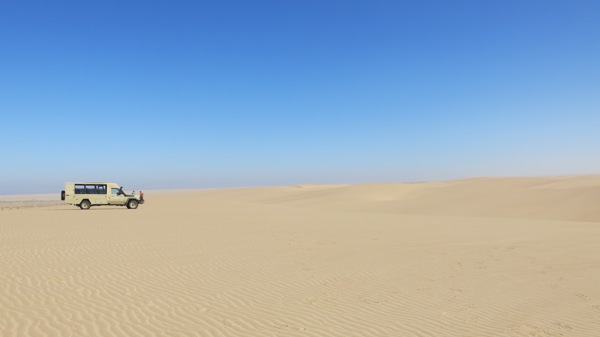 Namibia Game Drive