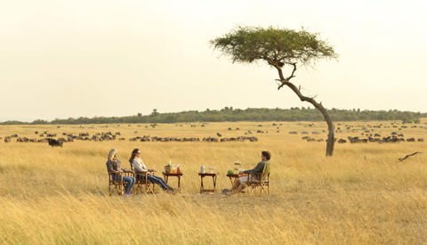 kimondo camp sundowners