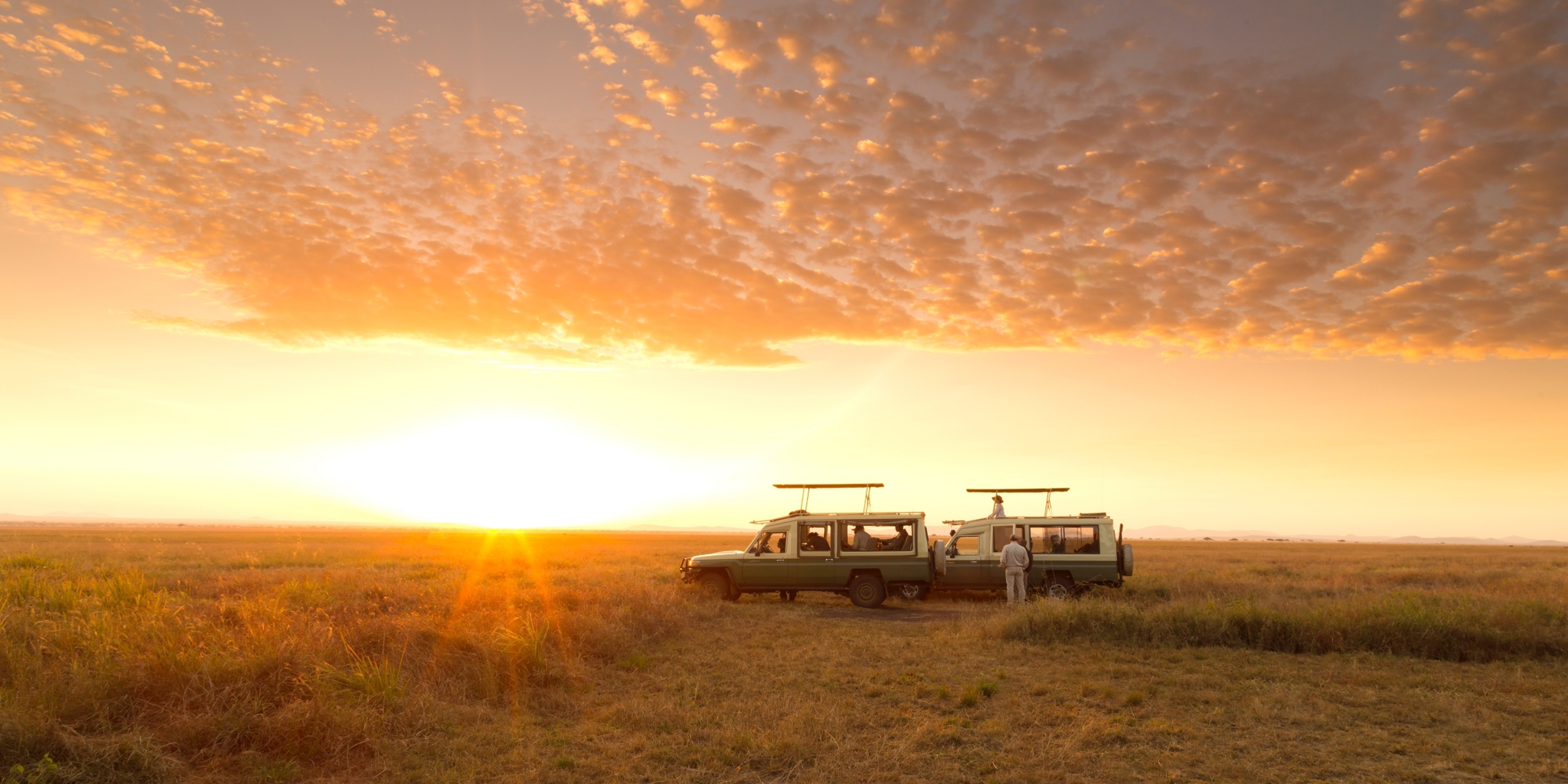Tanzania Game Drive Sunrise yellow zebra safaris