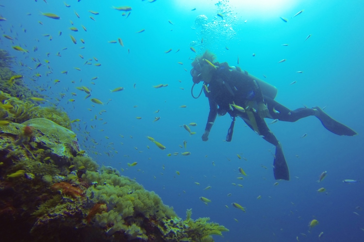5 activities diving 3