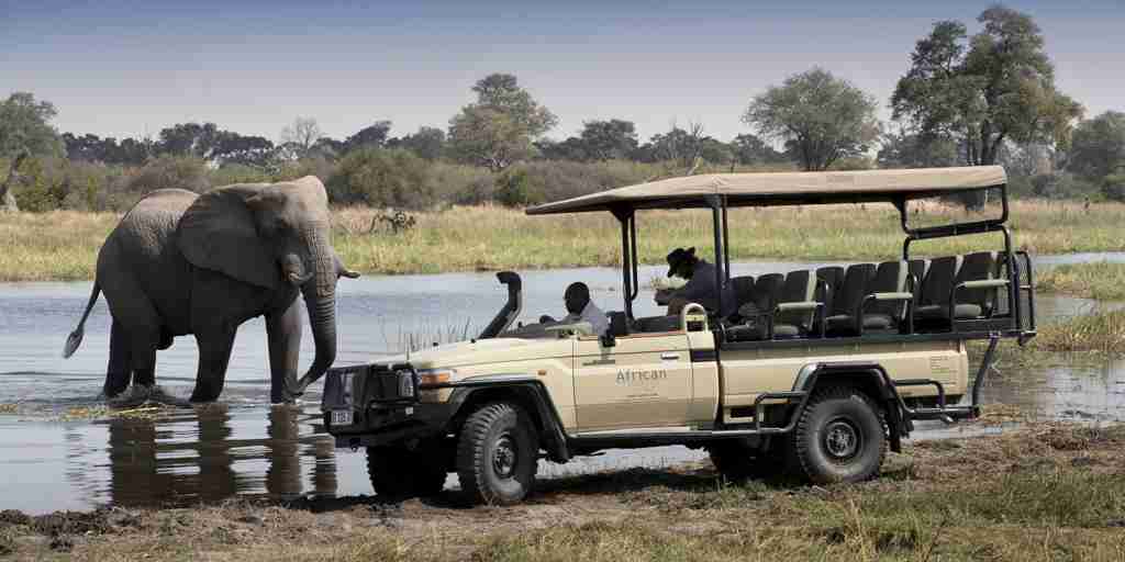 Botswana game drive elephants