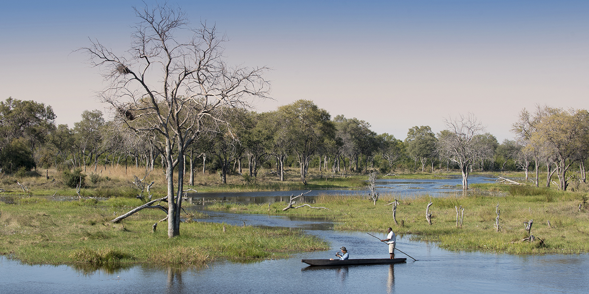 khwai tented camp moremi reserve botswana mokoro safari