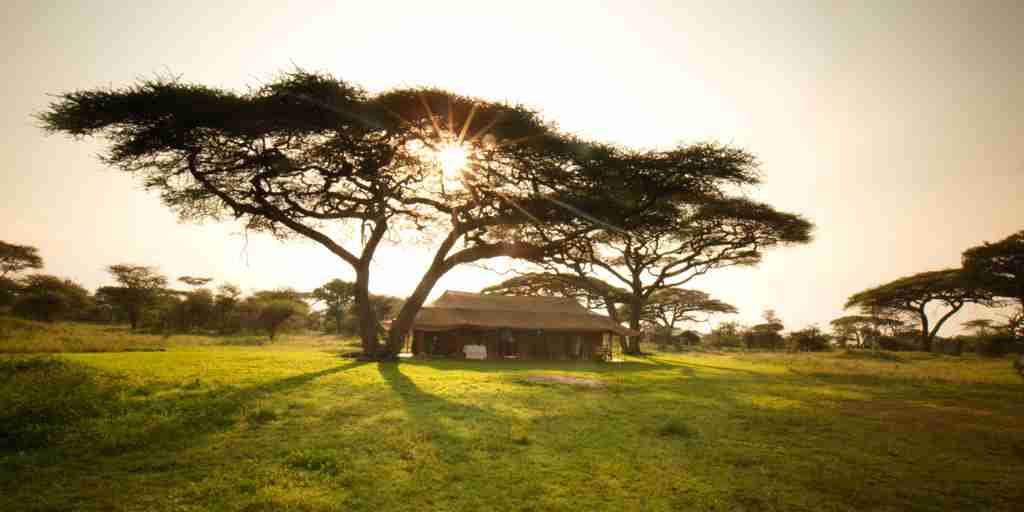 Serian Serengeti Kusini kusini mess new