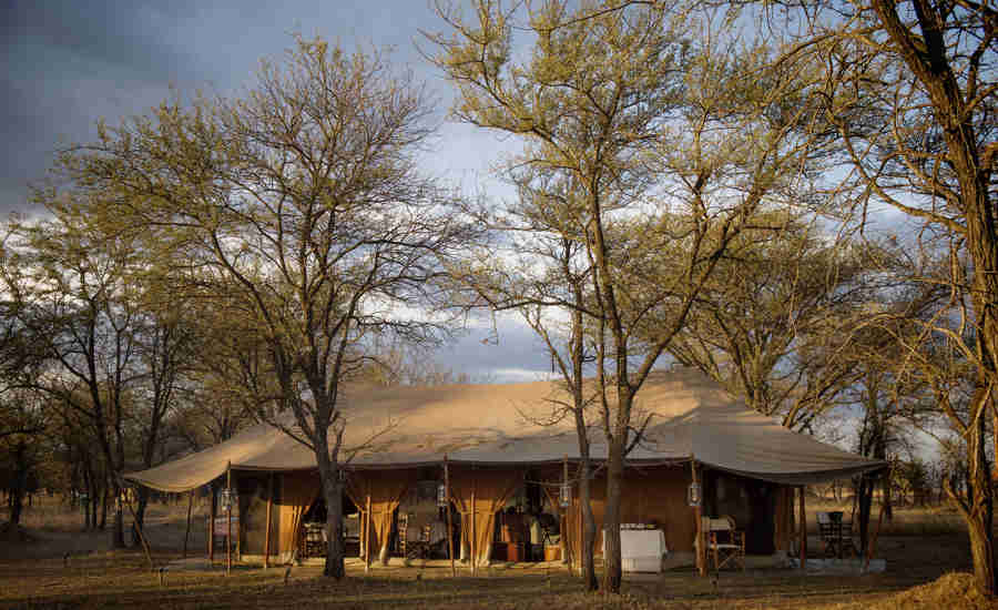 Serian Serengeti Kusini outside view tent