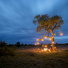 Tanda Tula Bush Bush Private Dinner