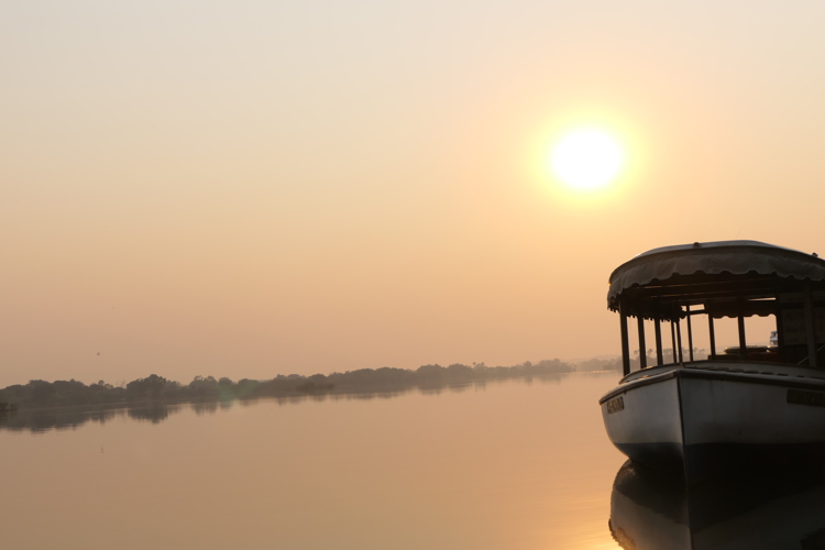 morning cruise zambezi victoria falls zimbabwe