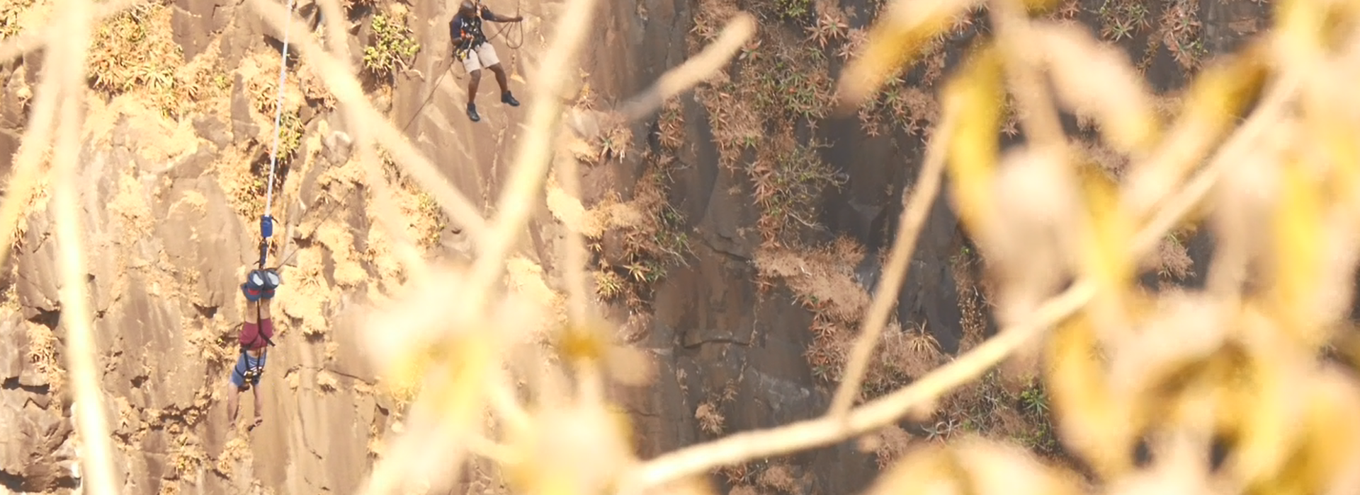 bungee jump victoria falls august yellow zebra safaris