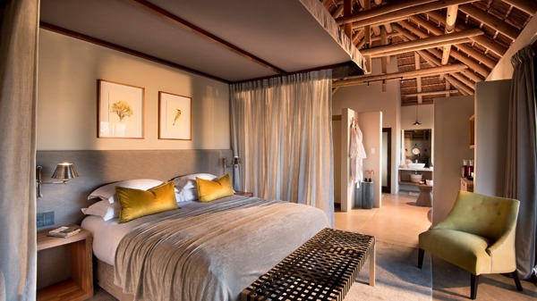 Rock Fig Safari Suite
