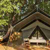 Surefoot Safaris   Guest Tent