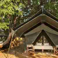 Surefoot Safaris   Guest Tent