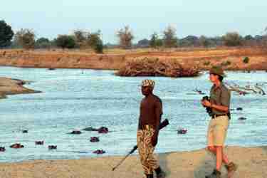 Surefoot Safaris   Walking with Hippos   Will Whitford