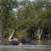 Botswana Elephants Hyena Pan Camp