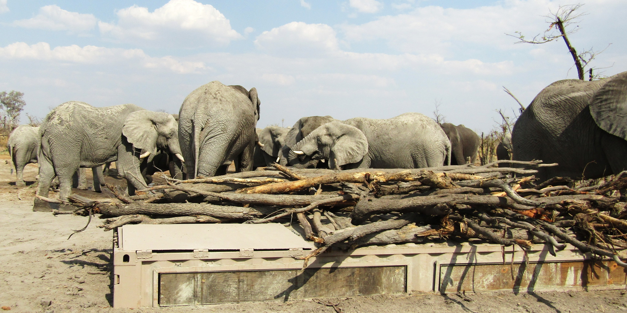 Hyena Pan Safari Hide