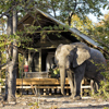 Hyena Pan | Luxury Camps in Botswana